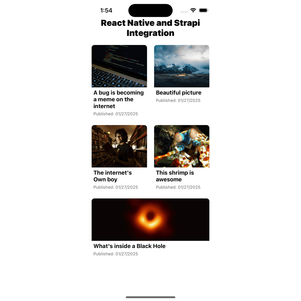 Integrate Strapi and React Native