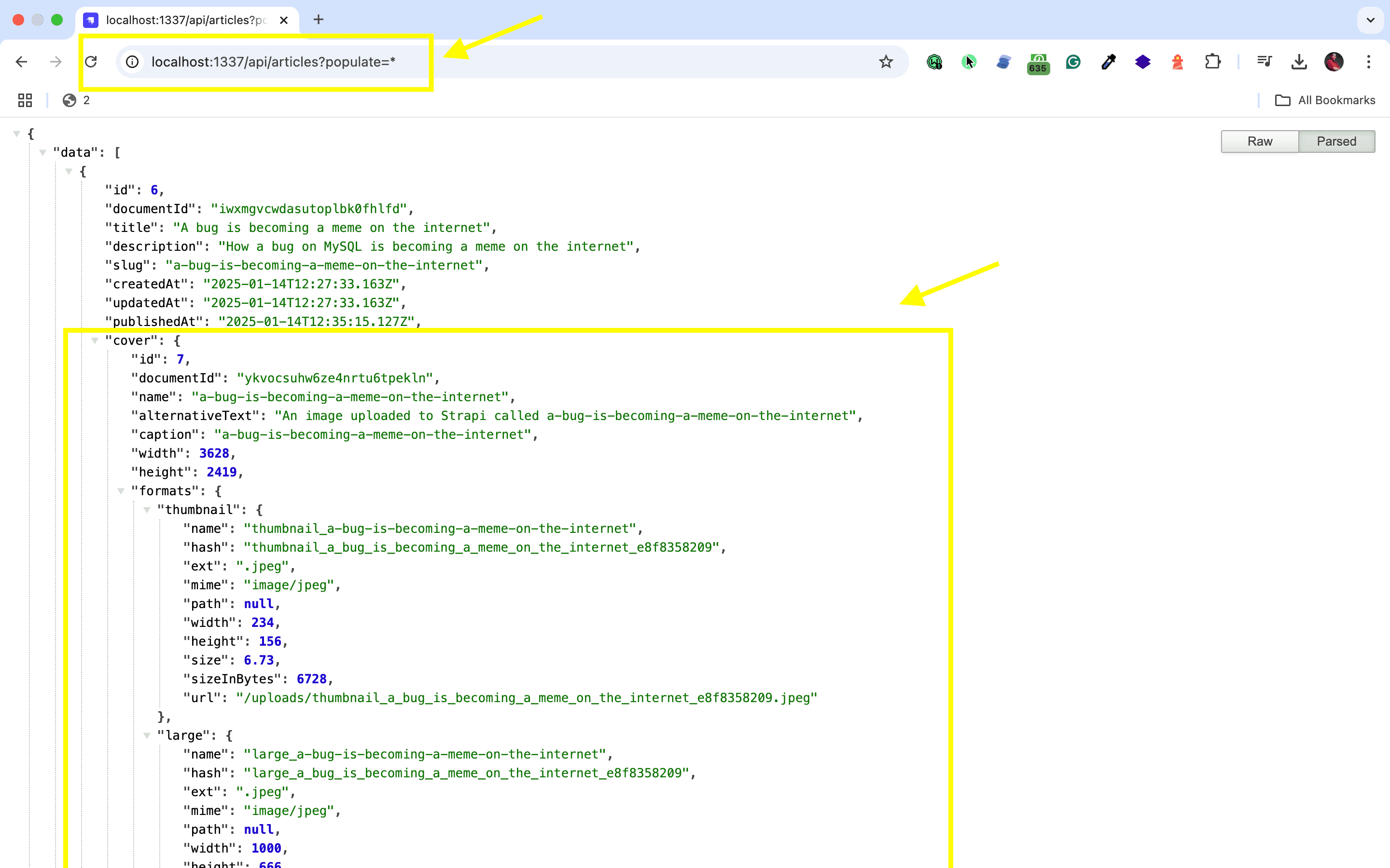 vuejs strapi integration - api request.png